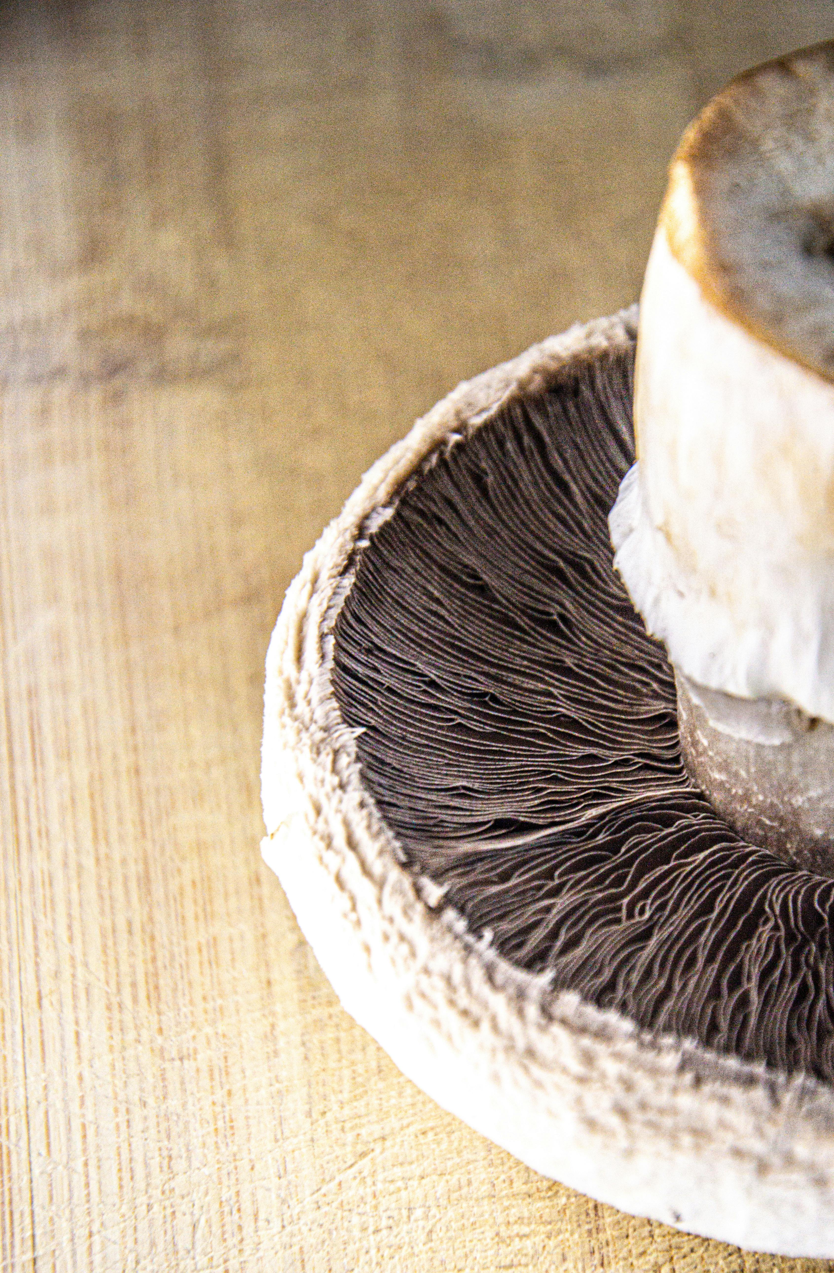 Nutrition for Taste Recovery