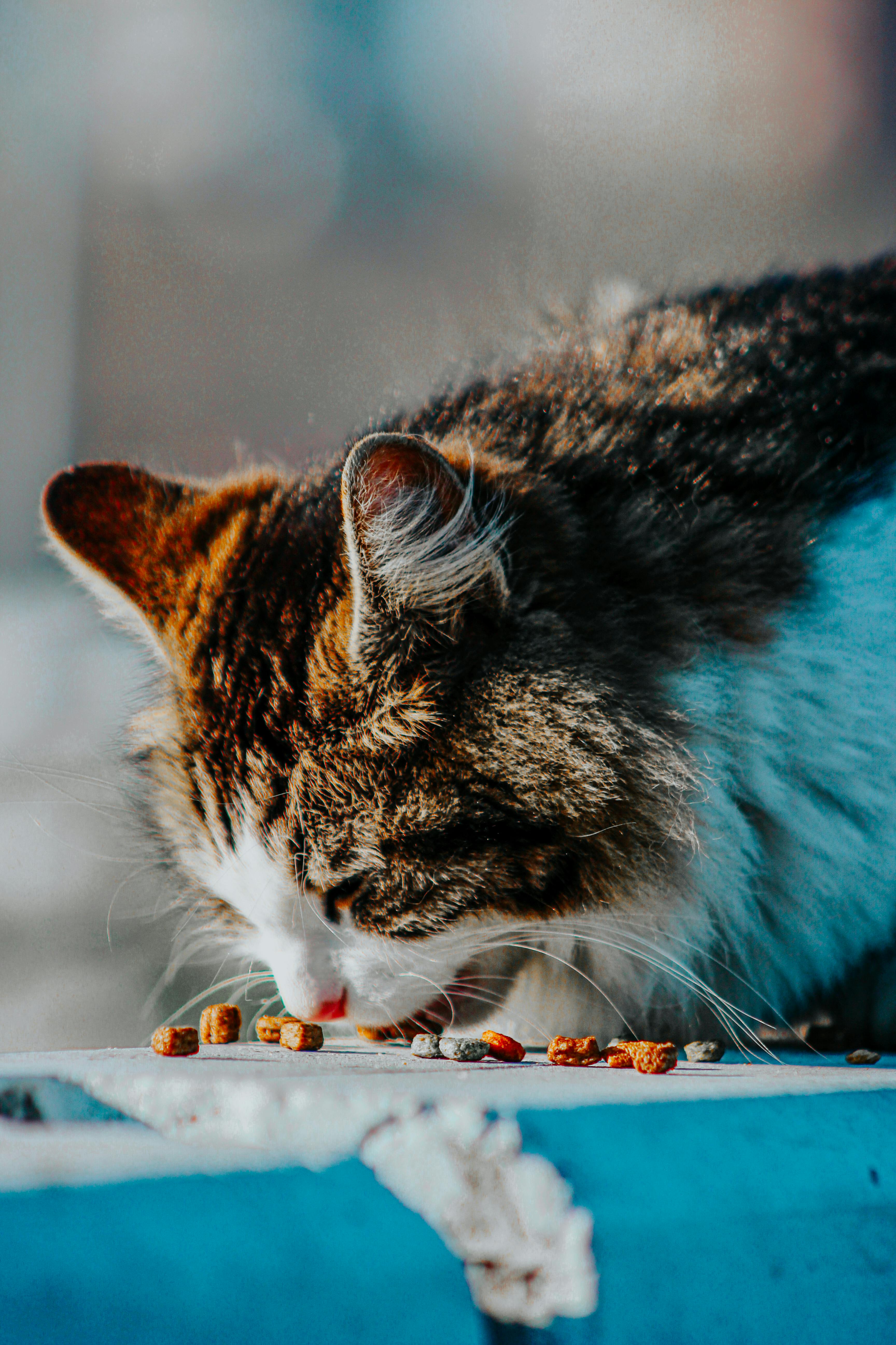Effective Ways to Calculate Net Carbs: Modern Tips for 2025