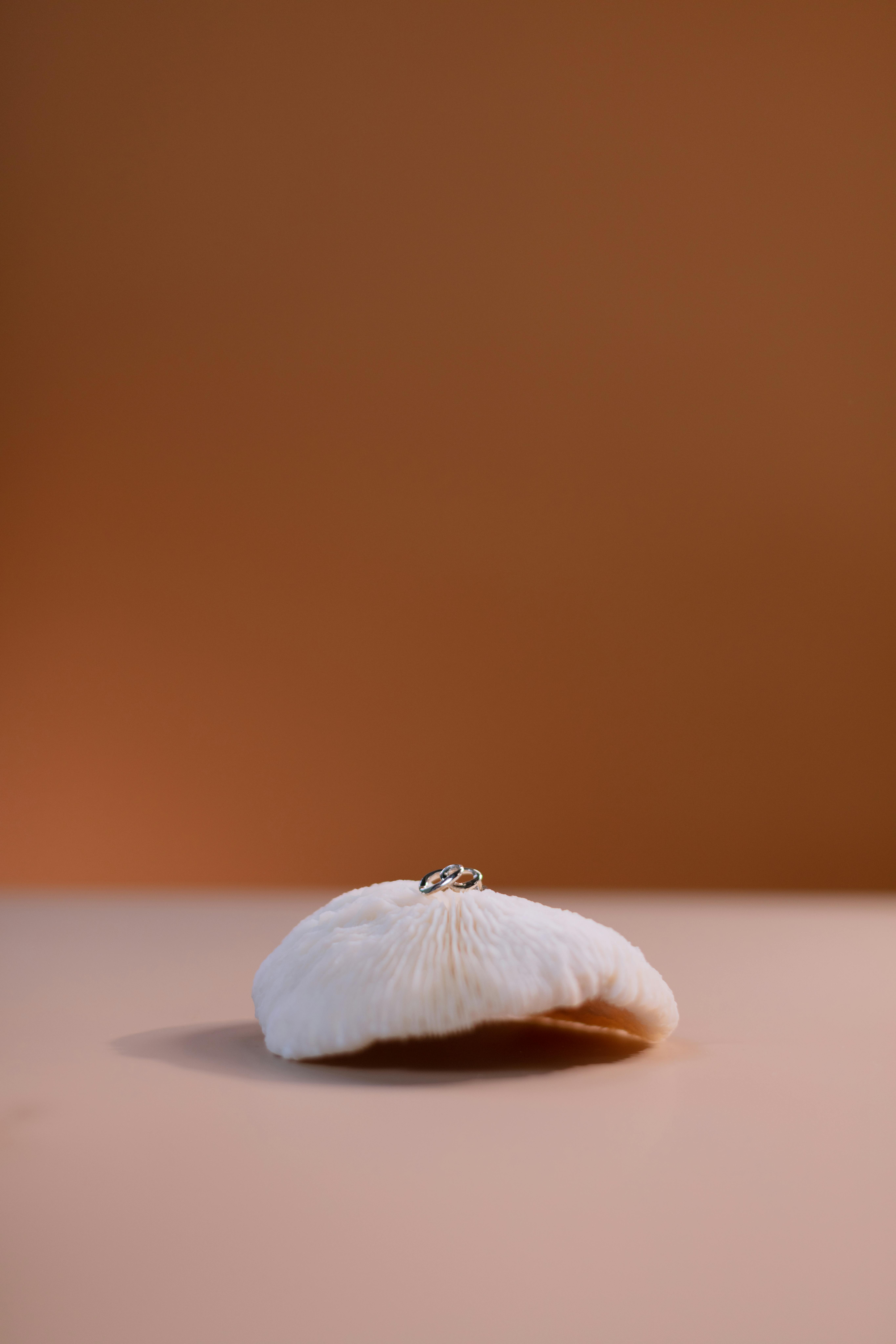 Essential Guide to Cooking Chilean Sea Bass: Discover Proven Techniques for 2025