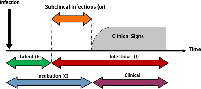 Top 5 Effective Ways to Minimize Your Flu Risk After Exposure in 2025