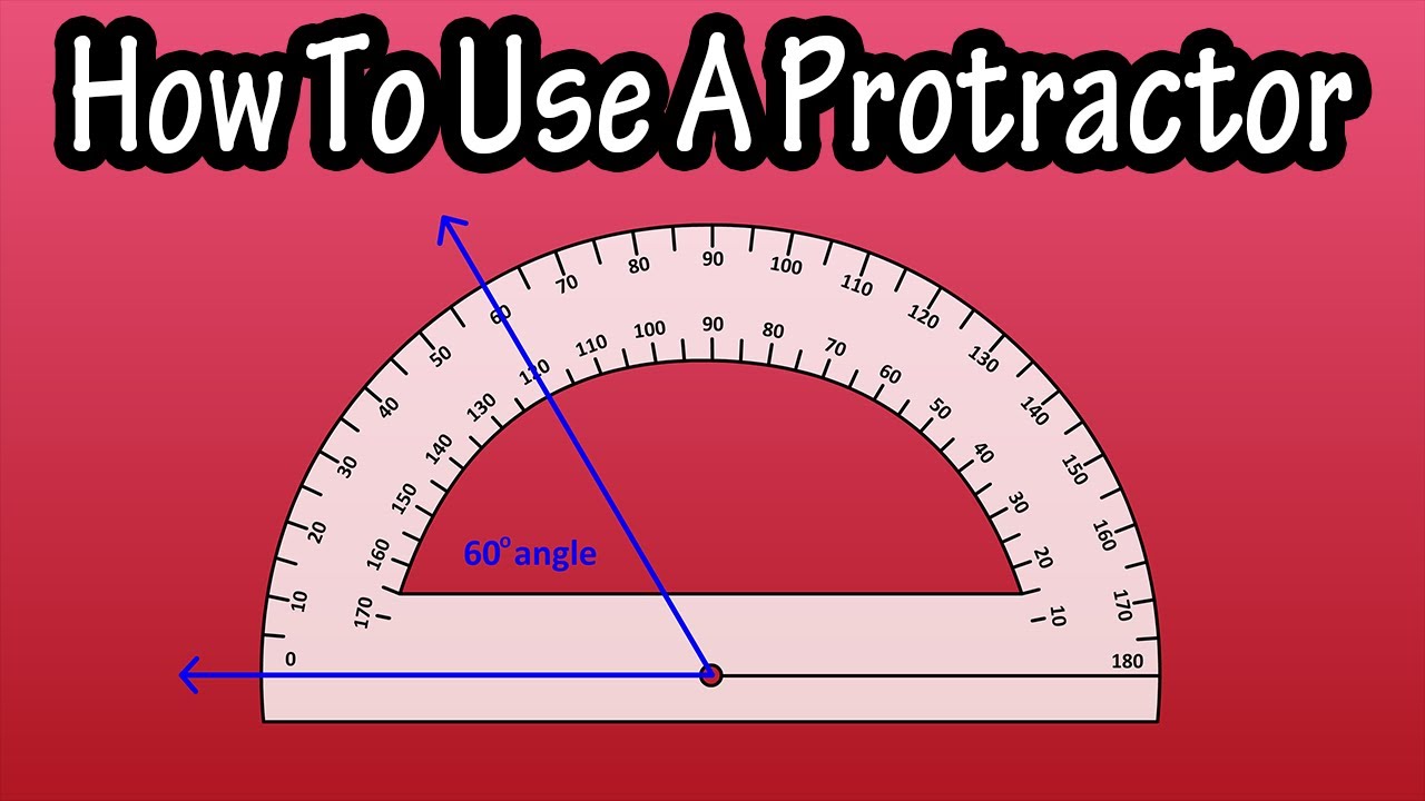 Protractor In Use