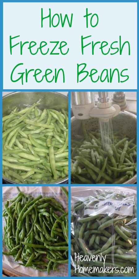 How to Properly Freeze Green Beans for Maximum Freshness in 2025