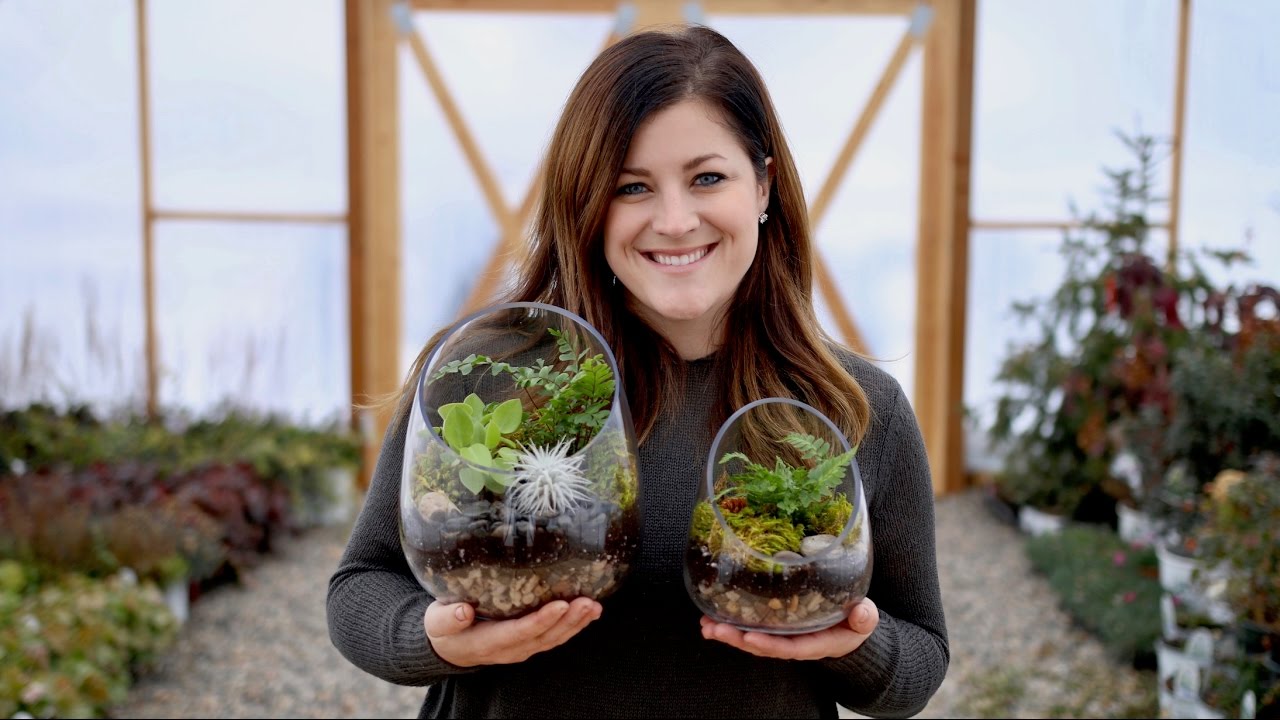 How to Create a Stunning Terrarium: 5 Practical Steps for 2025 Fun!