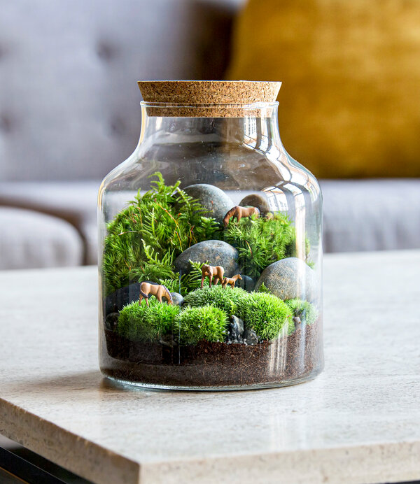 Creative Terrarium Design