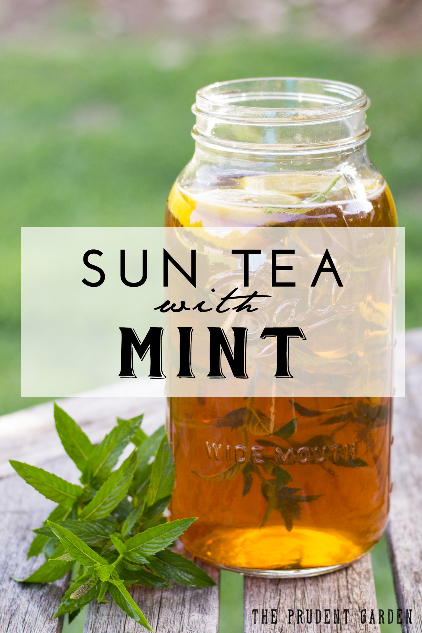 Homemade Sun Tea