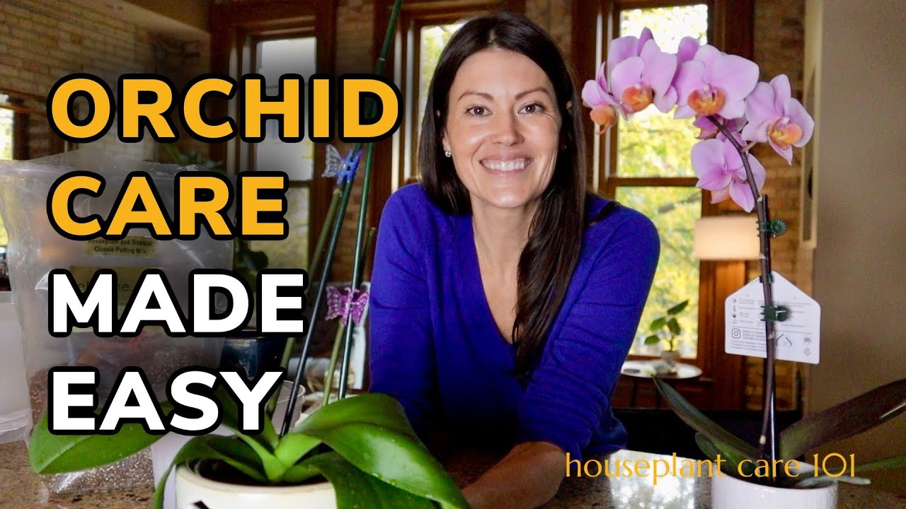 Proper care for orchids