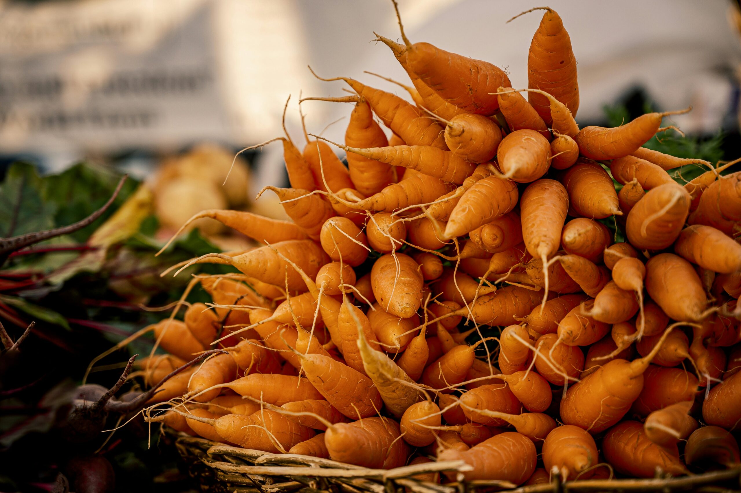 Smart Ways to Store Carrots for Optimal Freshness in 2025: Proven Techniques