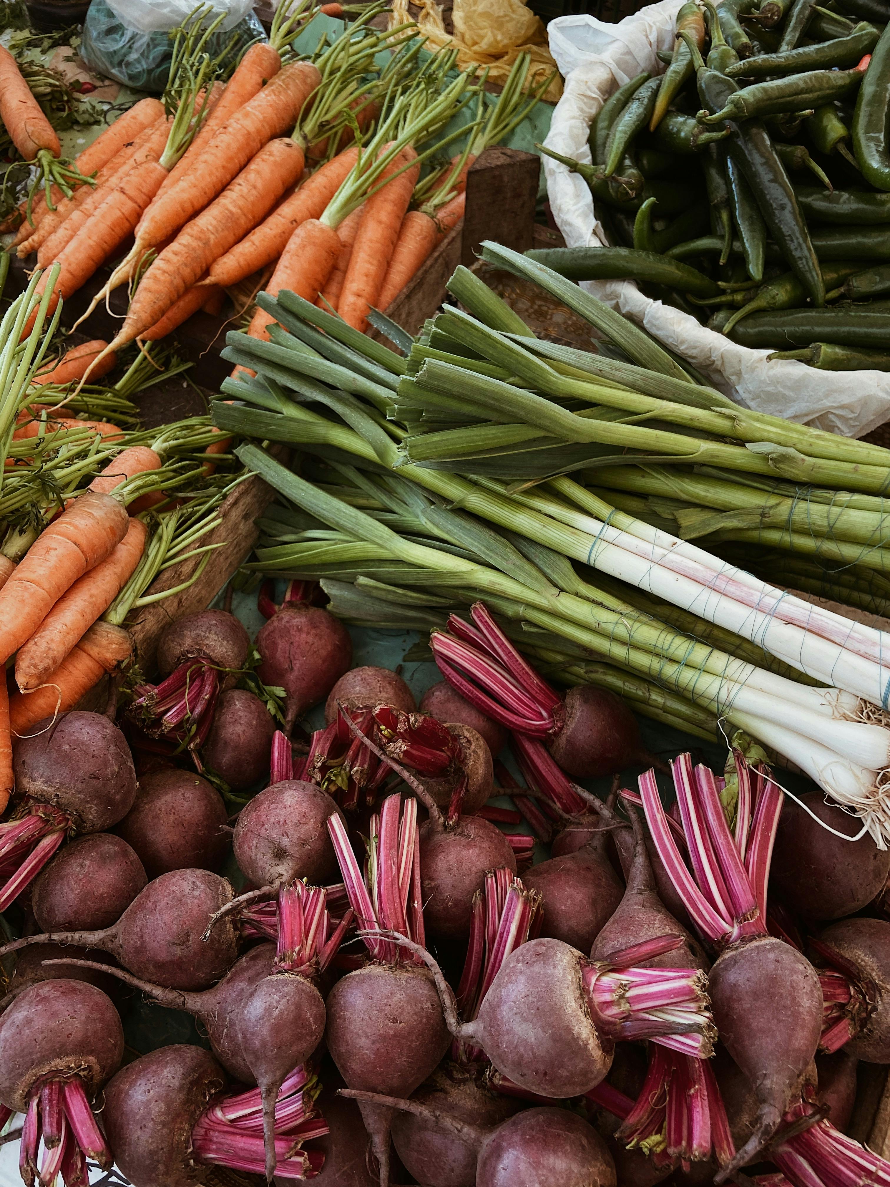 Carrot Preservation Techniques