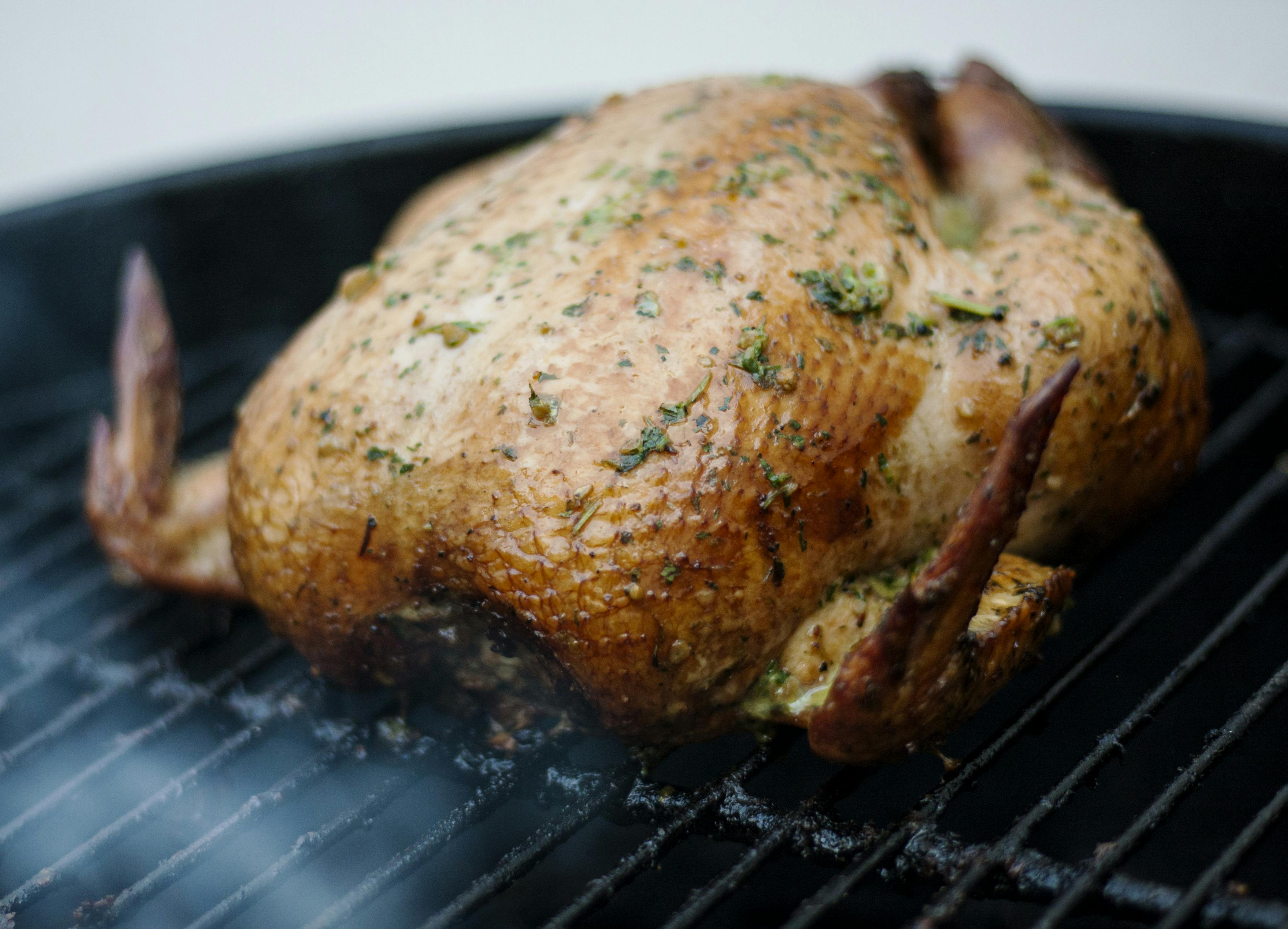 Grilling Chicken Techniques